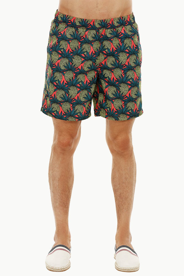 Mens Fish Print Quickdry Swimshorts