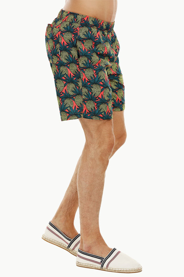 Mens Pineapple Print Quickdry Swimshorts