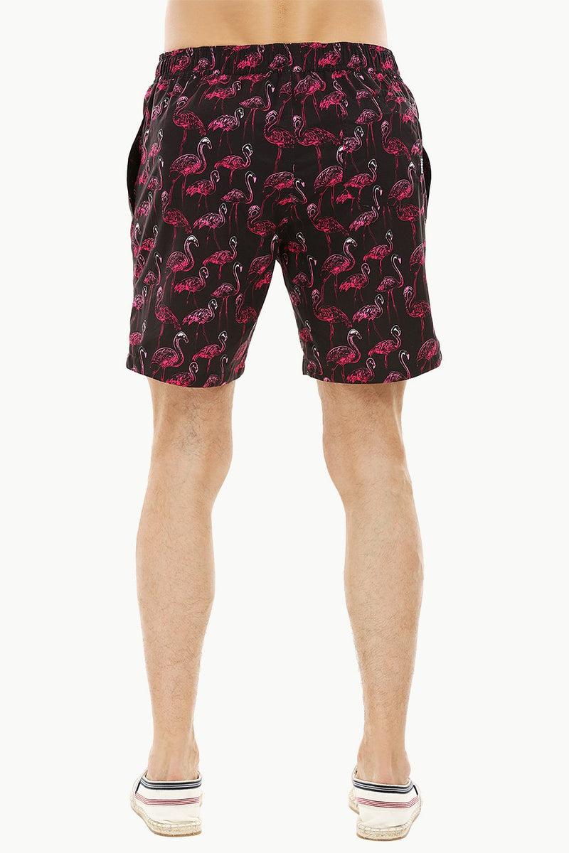 Mens Flamingo Print Quickdry Swimshorts