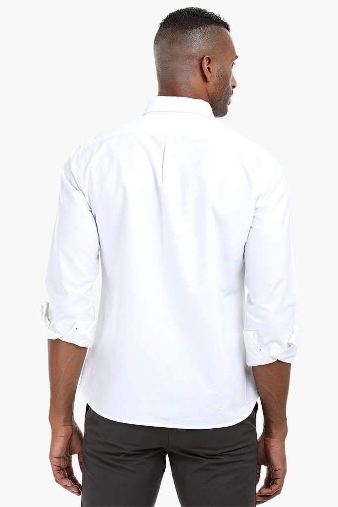 Solid Oxford Cotton Shirt